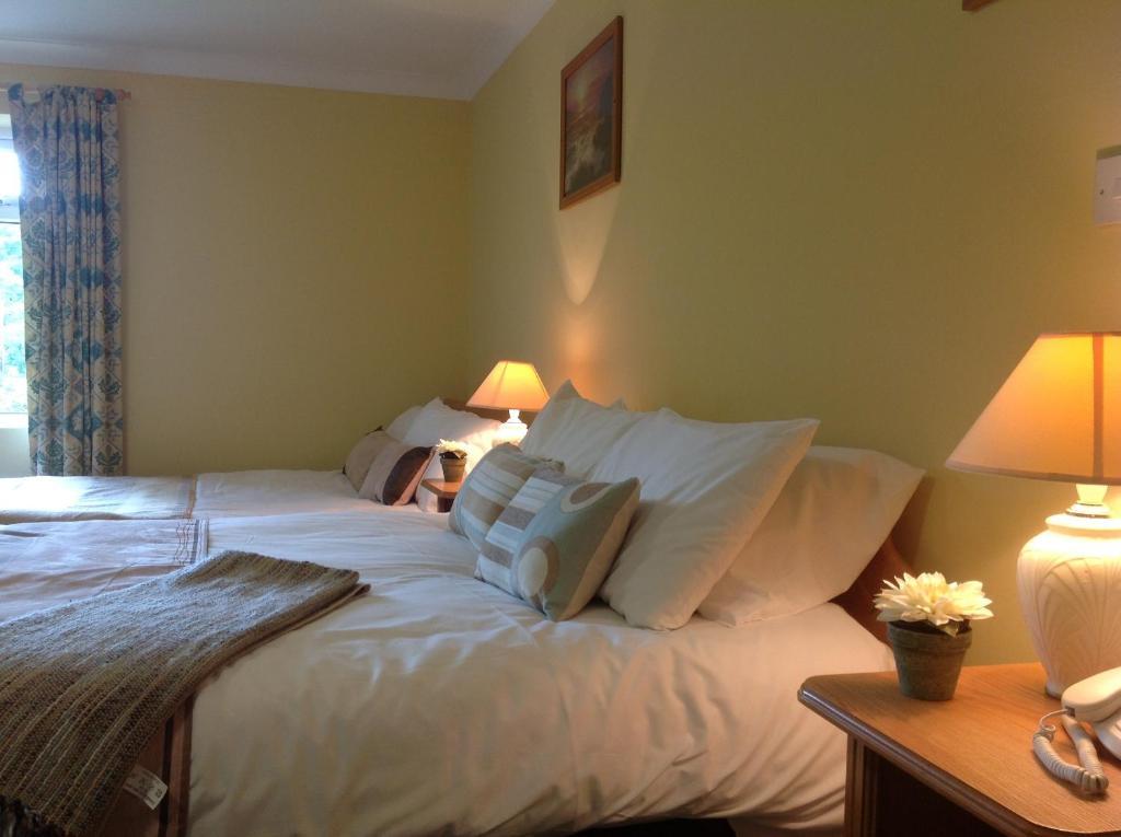 Abbey Hotel Ballyvourney Rum bild